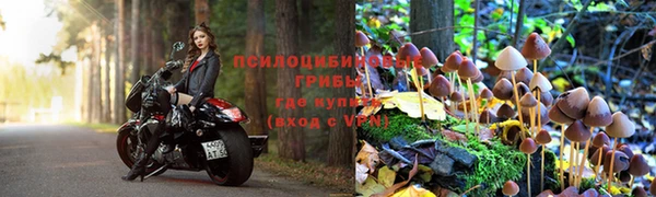 ECSTASY Магадан