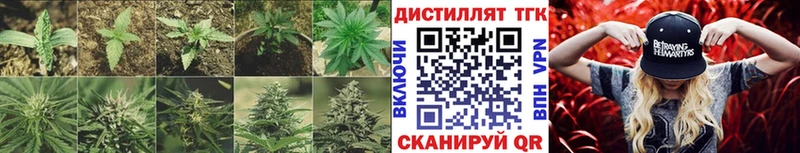 Дистиллят ТГК концентрат Новое Девяткино