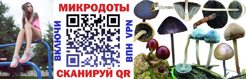 Галлюциногенные грибы Psilocybine cubensis  блэк спрут сайт  Новое Девяткино 